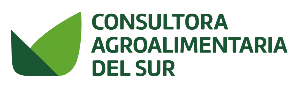 Consultora del Sur